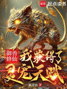 御兽灵仙讲的是什么