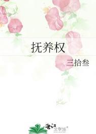 抚养权怎么争夺