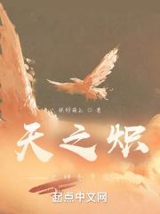 天之炽百科