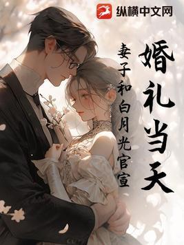 妻子官宣白月光申阳