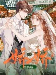 结婚三年不回家?七零娇娇要离婚 全本