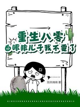 重生八零随军