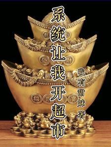 拥有系统开店的