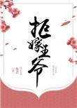 拒嫁王爷演员表介绍