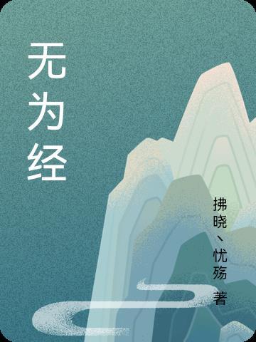 无为经开区智慧停车一体化项目