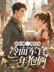 闪婚嫁给军区首长全文免费