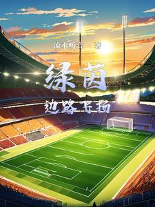 足球系统的