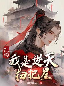 红楼每年一百万叫我怎么花?作者一盘肉炒茄子