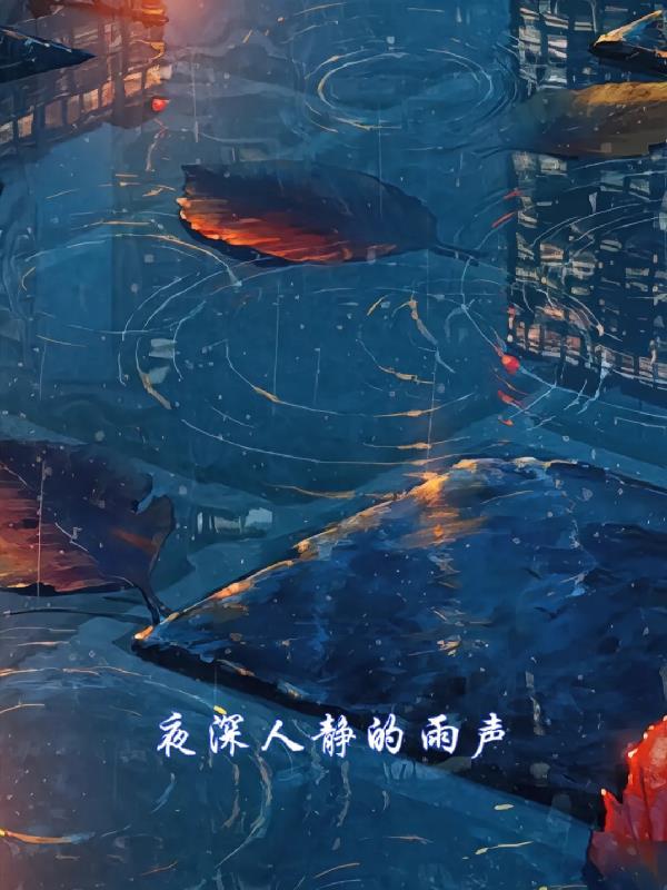 夜深人静雨声的文案