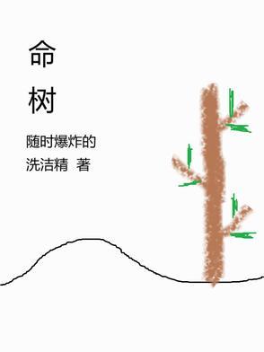 杨紫白菊生命树