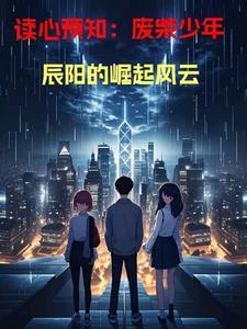 辰阳解说