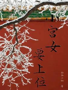 小宫女上位记