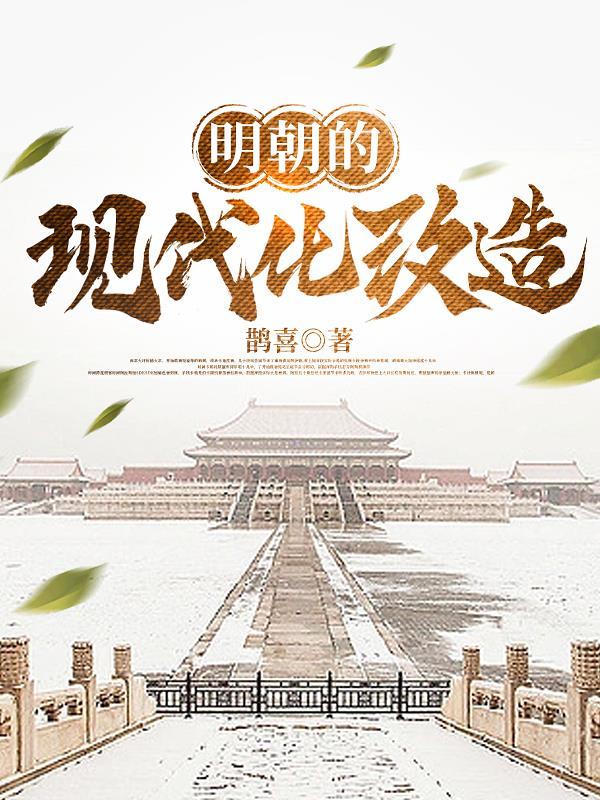 明朝的现代化改造同类
