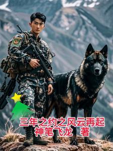三年之约预告