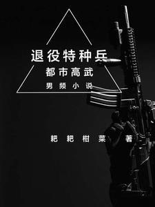 退役特种兵之我失忆的老婆