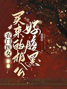 傲娇相公很会宠