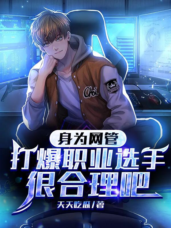 网管怎么说的高大上