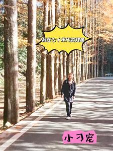 我在七十年代刷红包