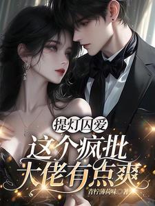提灯系列讲什么