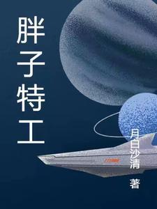 胖子特工文章