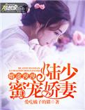 婚途漫漫沈少宠妻请节制免费阅读