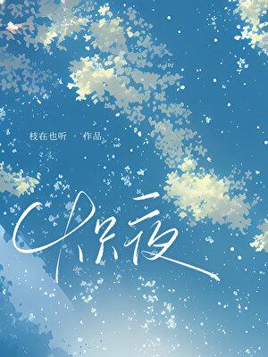 炽夜特别版
