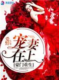 重生豪门之宠妻成瘾
