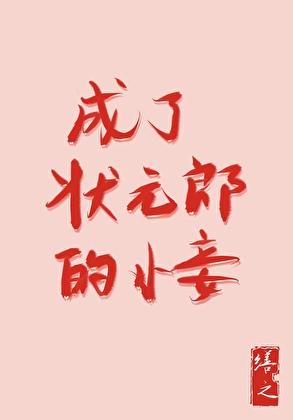 成了状元郎的小妾好看吗