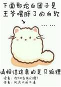 你尾巴戳到我了白城