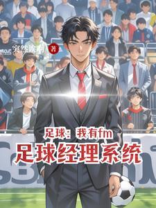 fm足球经理中文