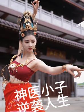 神医小子初入都市是什么