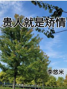 什么是贵人的句子