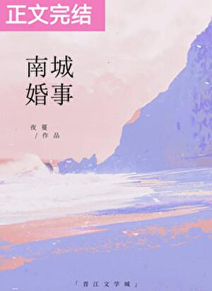 南城婚事夜曼讲的什么