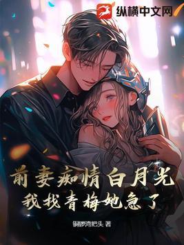 前妻文