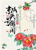 京城头号绯闻完整版