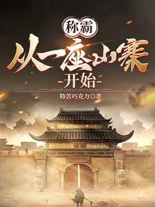综武系统