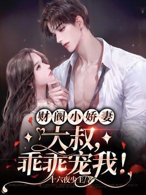 财阀小娇妻附小宠