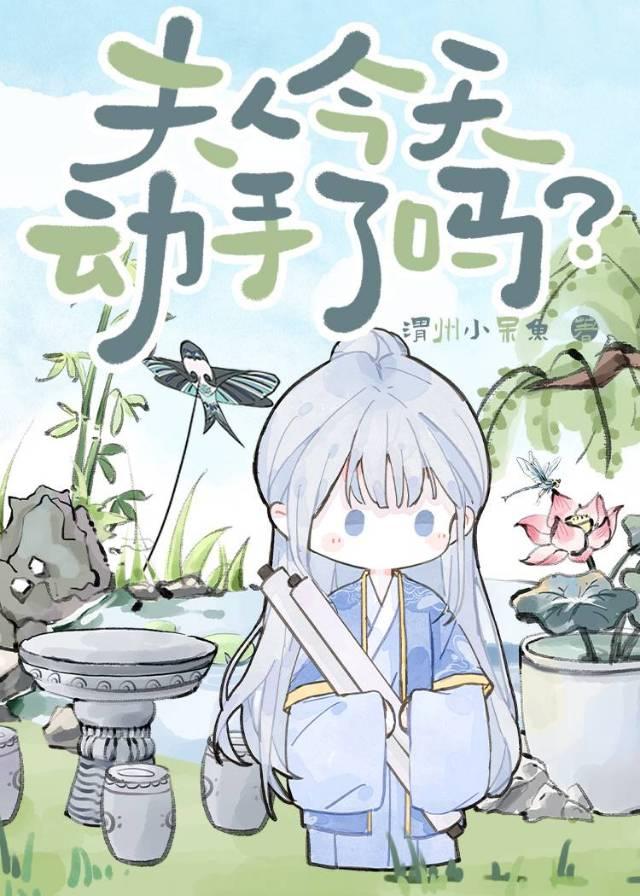 夫人今天又离婚了吗