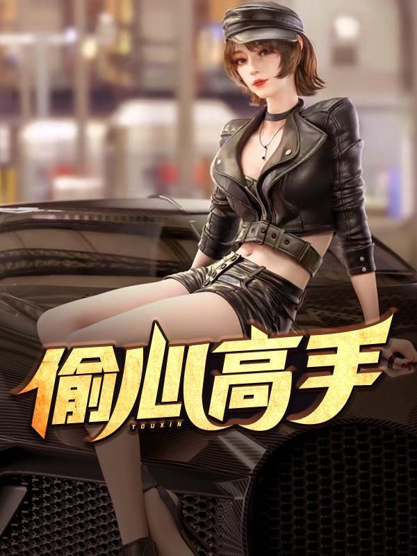 偷心高手完整版免费阅读