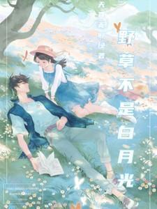 野草不是白月光结局