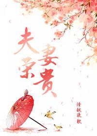 穿越夫荣妻贵