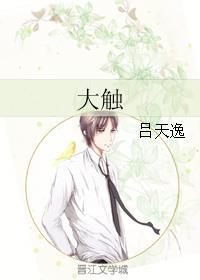 大触是什么意思