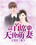 入骨暖婚爵少豪宠甜妻
