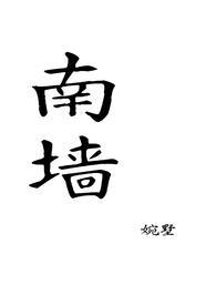南墙by知安txt