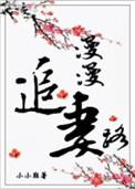 漫漫追妻路快手