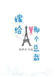 嫁给那个总裁 听书全文