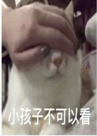圈养蔷薇(纯百骨科np)(橘子灯灯)