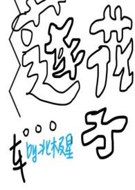 莲花