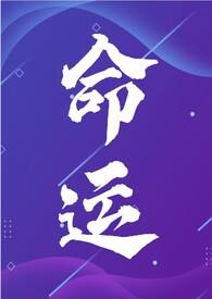 命运(年代文)作者会飞的巫婆最新章节更新时间