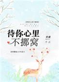 书名待你心里不挪窝
